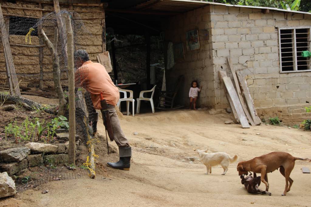 Randonnée en Colombie