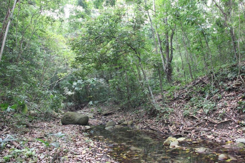 Randonnée en Colombie