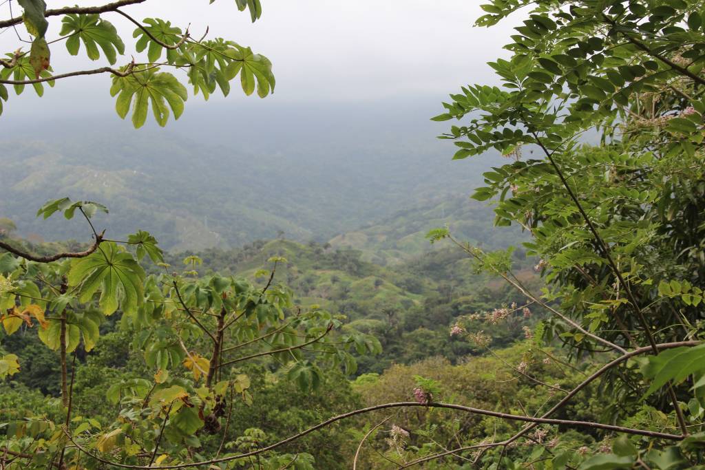 Randonnée en Colombie