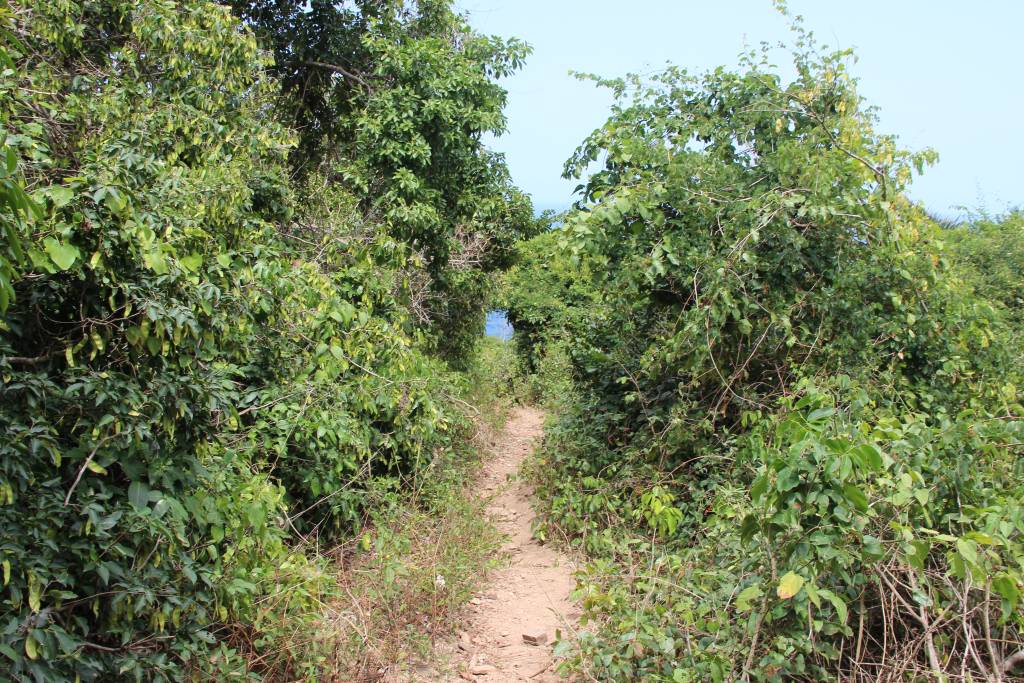 Randonnée en Colombie