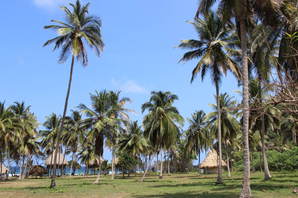 Randonnée en Colombie