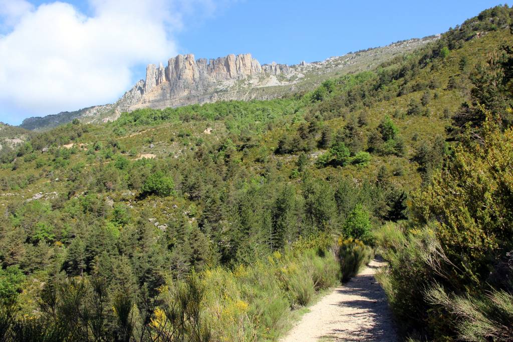 randonnée dans le parc naturel régional du Verdon