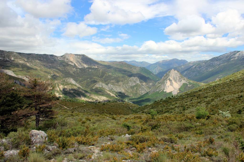 randonnée dans le parc naturel régional du Verdon