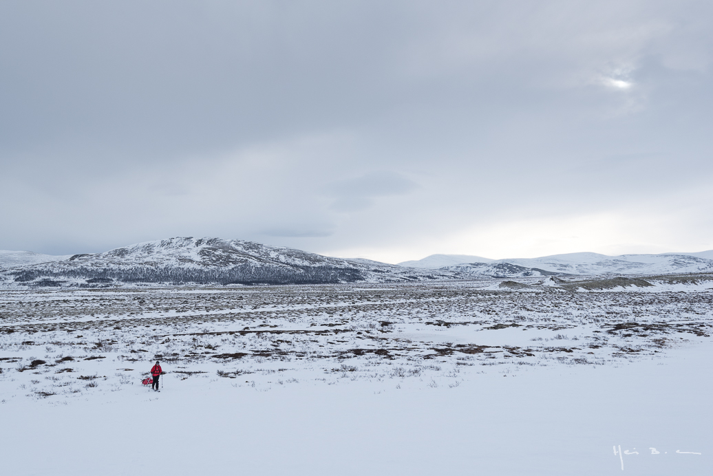 ski-pulka au coeur du Parc national de Dovrefjell-Sundasfjella