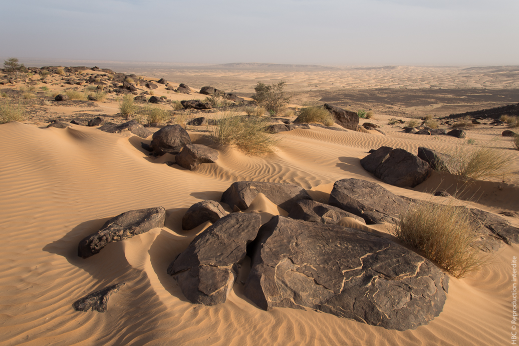 dunes de l&#039;Adrar