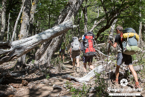 trekking dans le parc national Nahuel Huapi