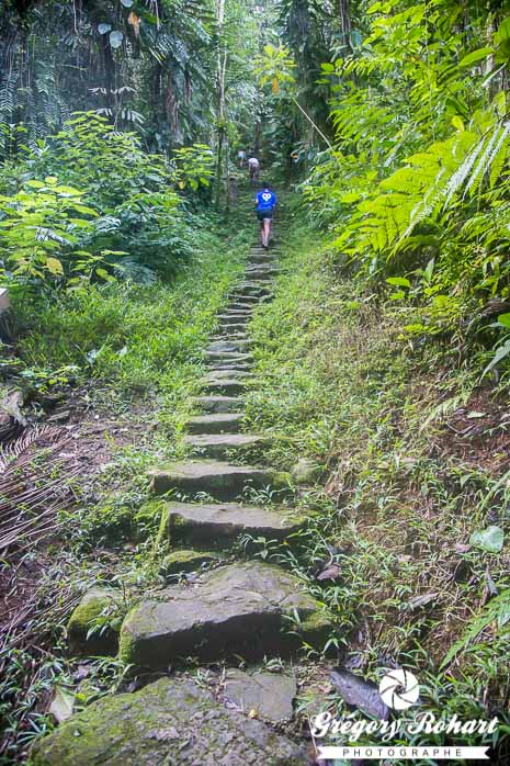 1200 marches à gravir pour atteindre la Ciudad Perdida