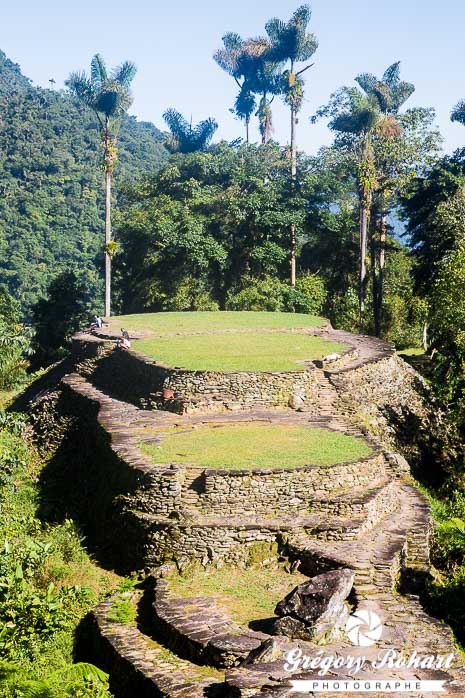 Les terrasses de la Ciudad Perdida