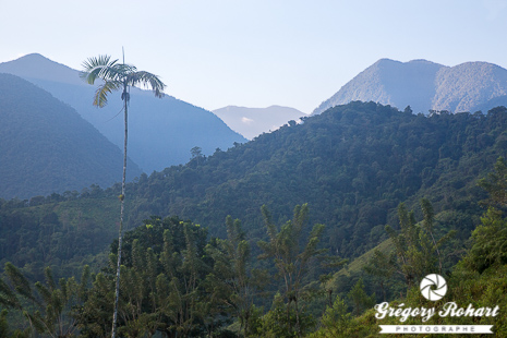 Paysage de la Sierra Nevada de Santa Marta