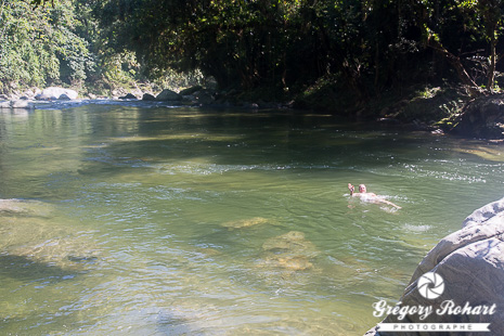 Une petite baignade rafraichissante ?