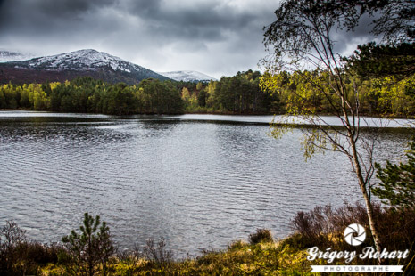 Parc National de Cairngorms