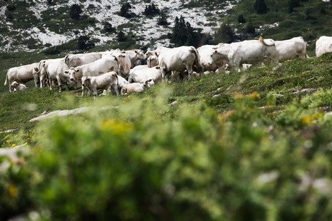 traversée des hauts de Chartreuse