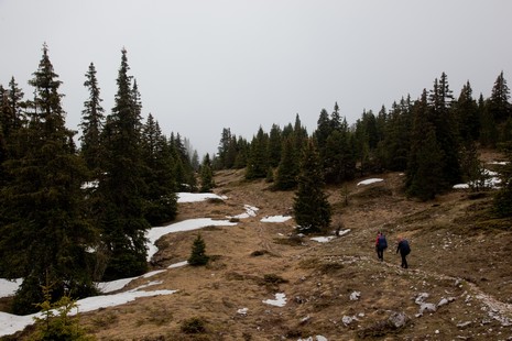 randonnée sur les hauts plateaux du Vercors