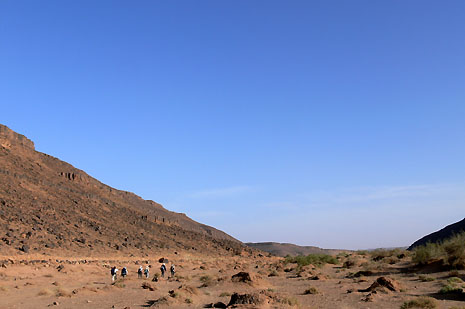 oasis du Draa