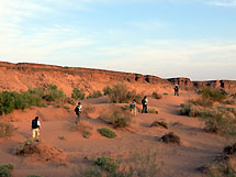 oasis du Draa