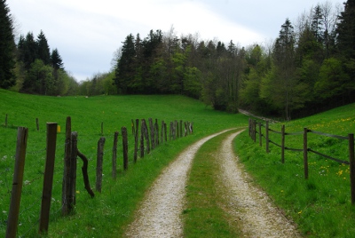 Voyage à pied de la Provence à l&#039;Alsace