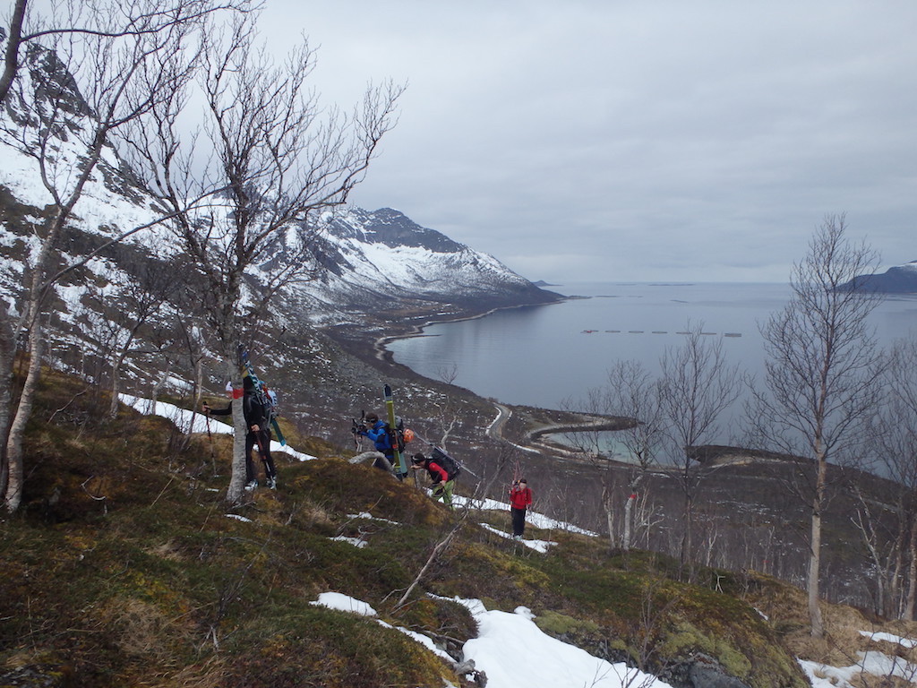 ski de randonnée sur l&#039;île de Senja