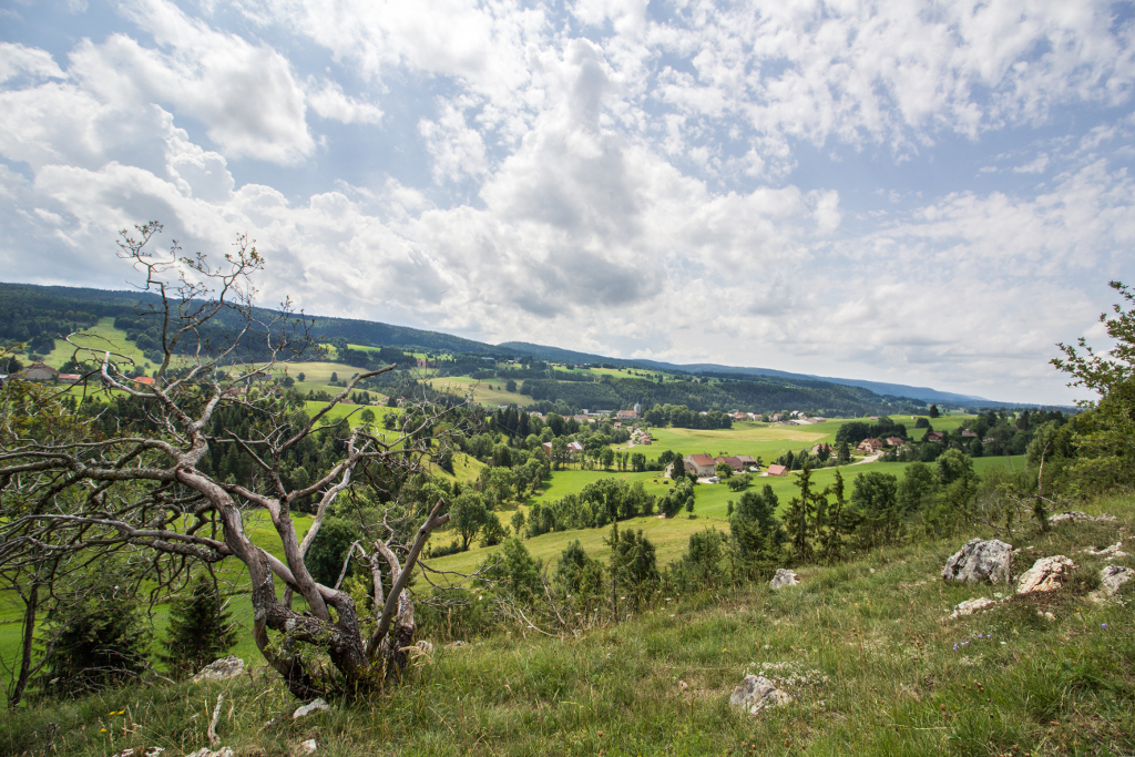 Randonnée dans le Haut Jura