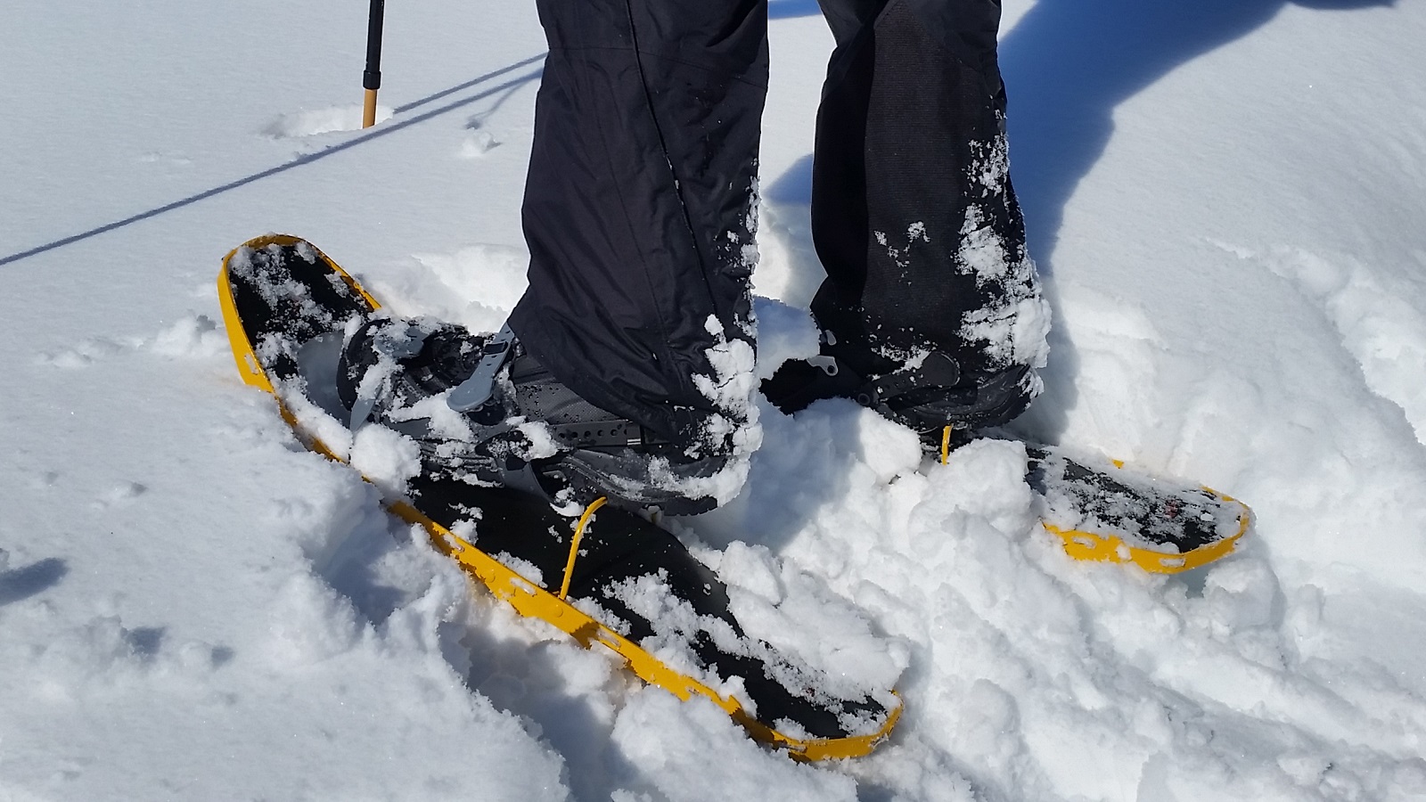 L'utilisation des cales de montée relève l'arrière du pied de 6,5 cm