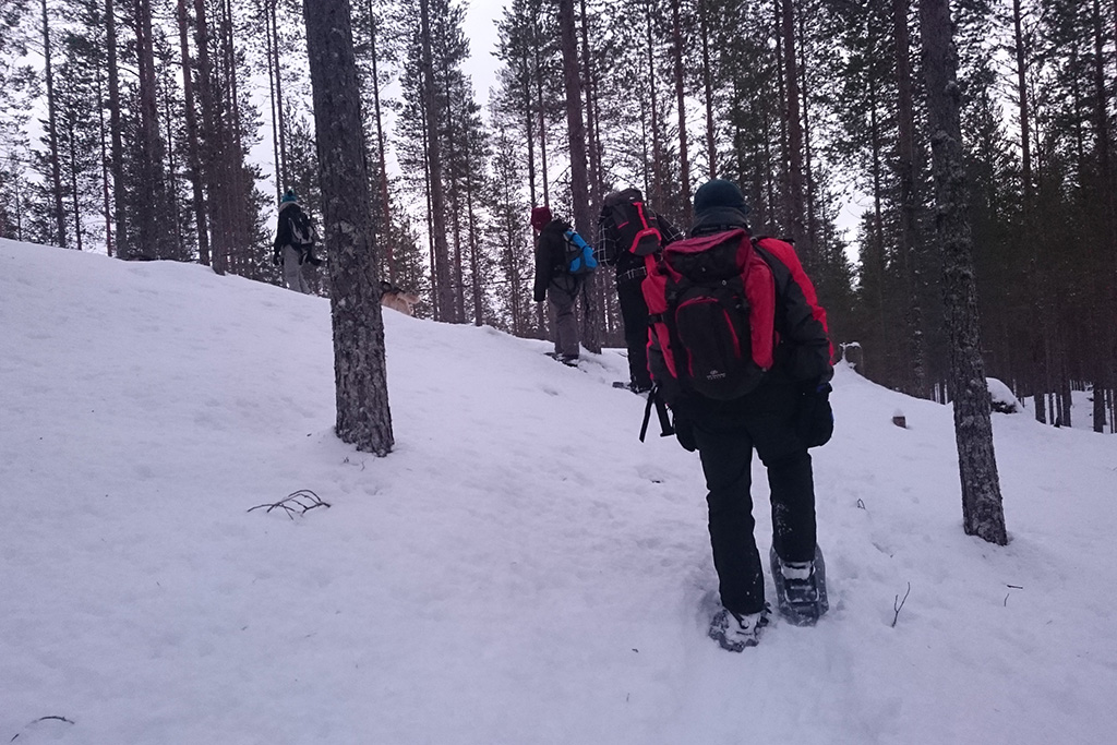 raquettes dans le parc national d’Hossa