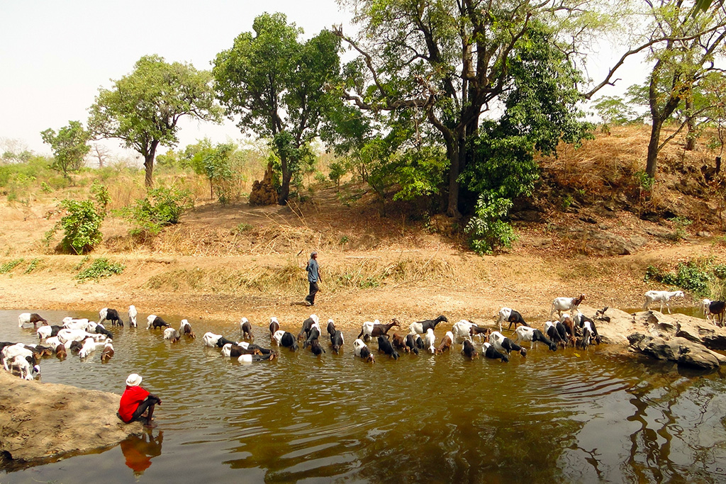 trek en pays Somba