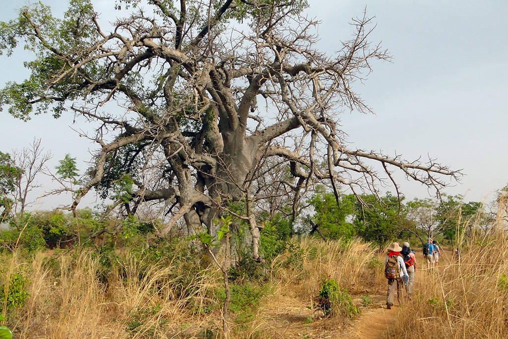 trek en pays Somba