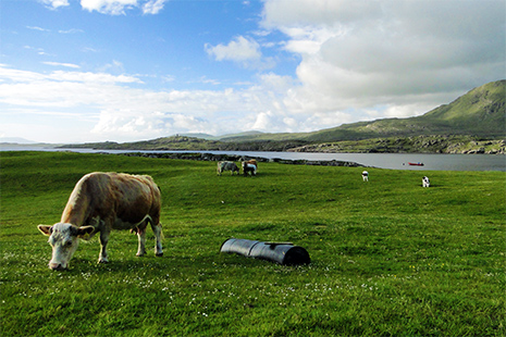 rando photo en Irlande