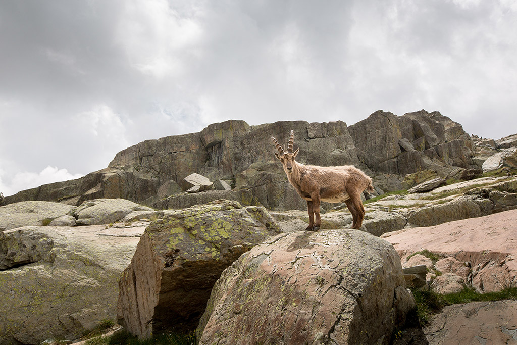 Randonnée dans le Mercantour