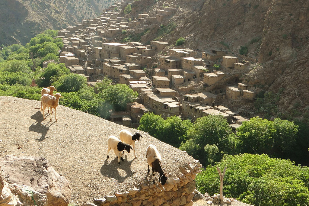 Toubkal