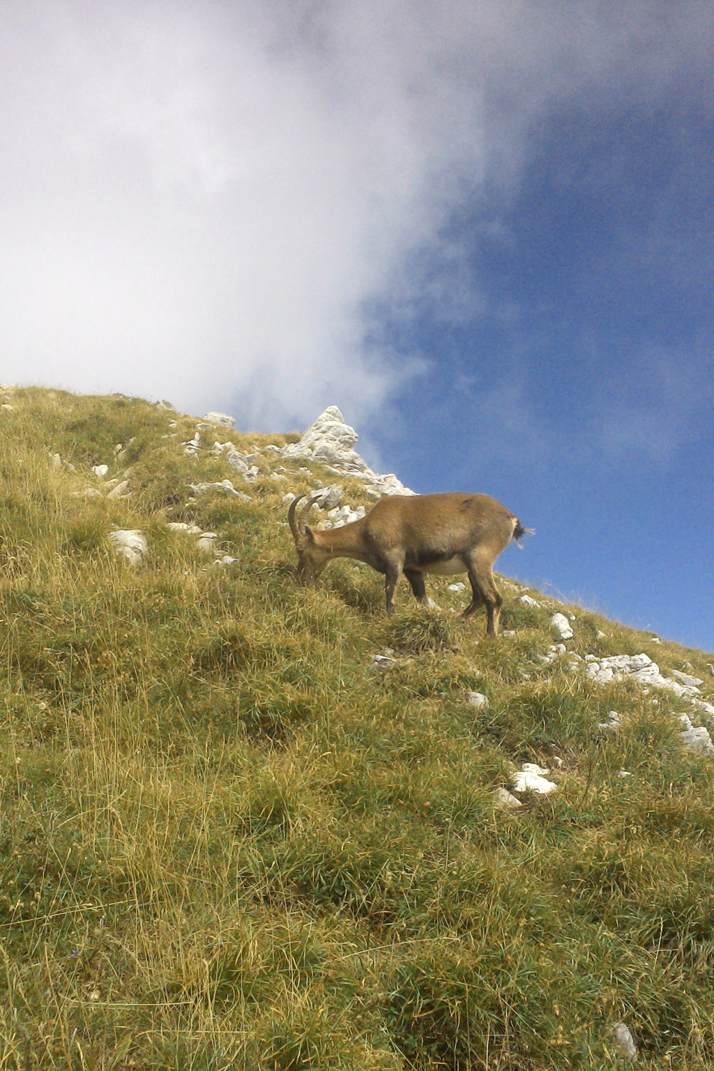 randonnée en solitaire dans le Vercors