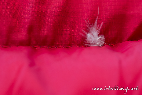 De petites plumes baladeuses sortent des coutures