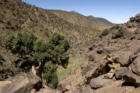 Toubkal