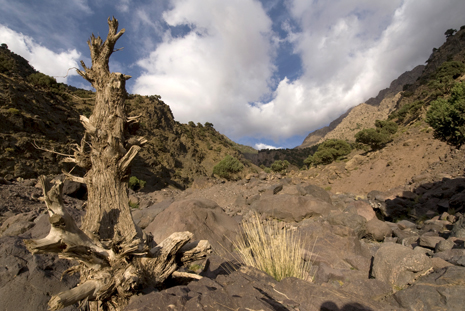 Toubkal