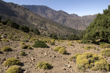 Toubkal