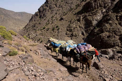 Toubkal