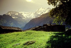 Bionnassay au petit matin