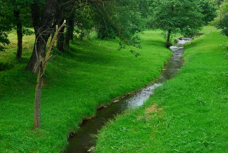 Gorges de l&#039;Allier