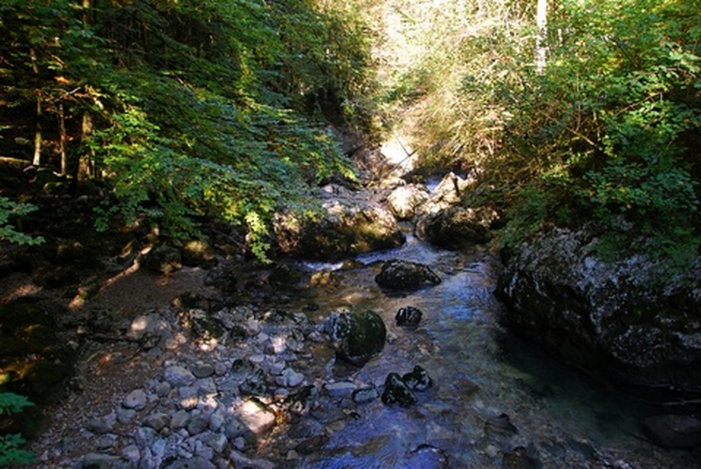 Tour de la Chartreuse