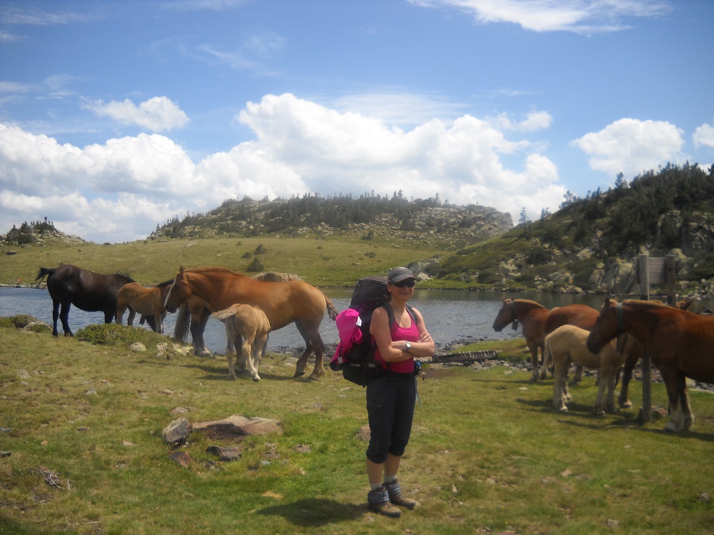 Chevaux à l'estany Trebens