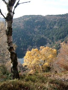 randonnée dans le massif des Vosges