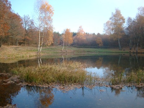 randonnée dans le massif des Vosges