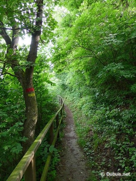 Grande traversée des Carpates