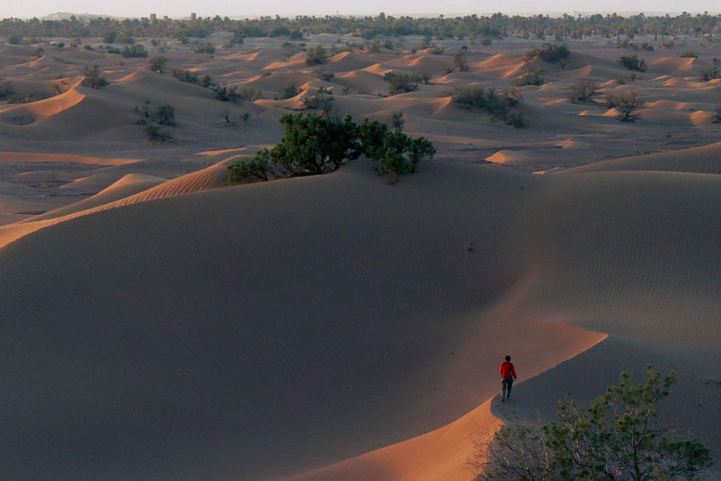 oasis du Draa