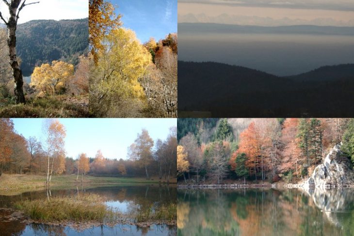 randonnée dans le massif des Vosges