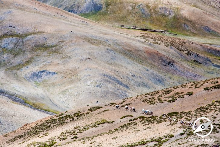 La caravane du trek au Changtang