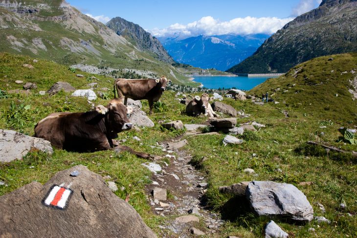 Lac de Salanfe, Tour des Dents du Midi