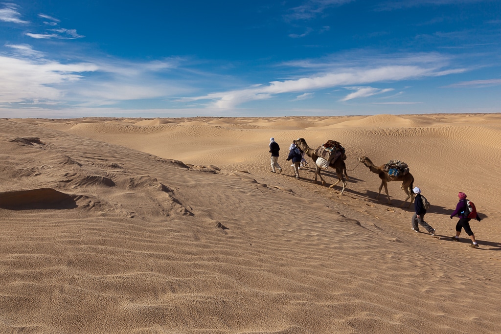 Sahara tunisien