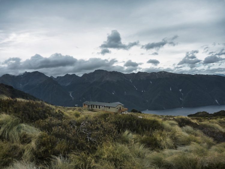 Kepler Track