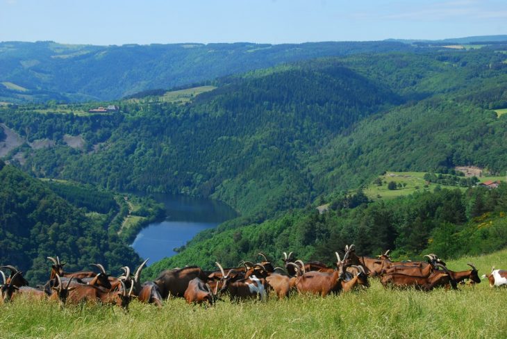 Gorges de l'Allier