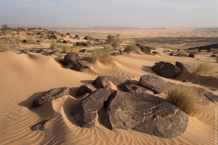 Point Afrique revient en Mauritanie